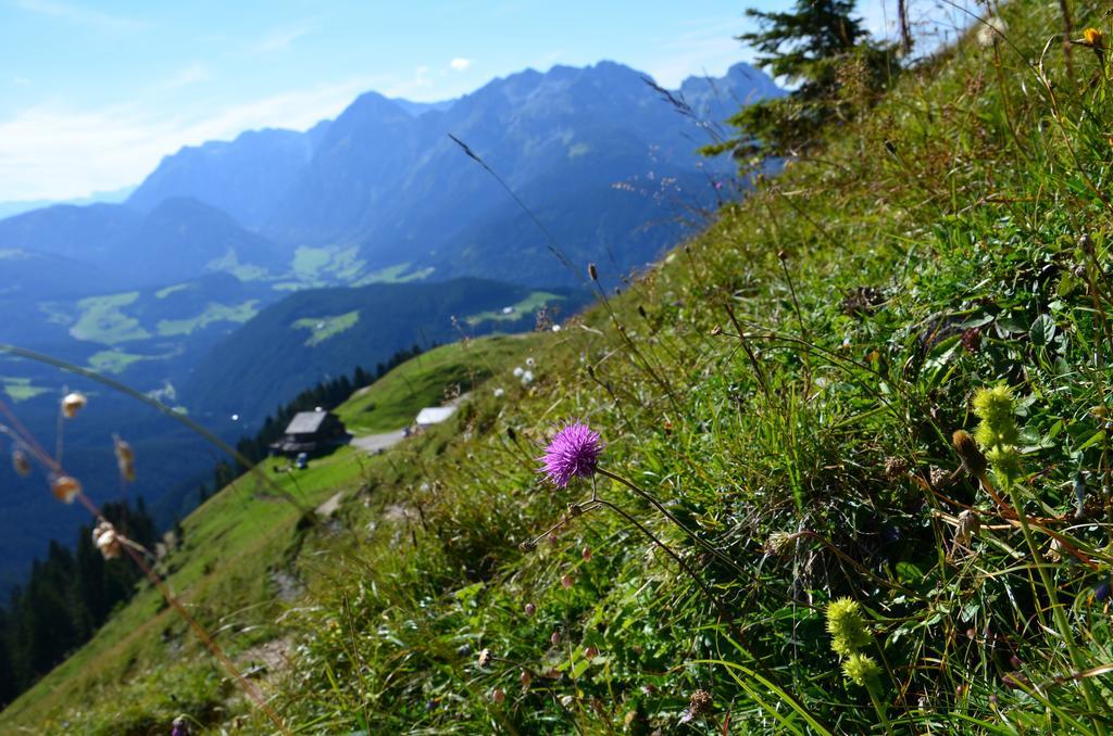 Apartments Alpenfrieden Sankt Martin am Tennengebirge Kültér fotó