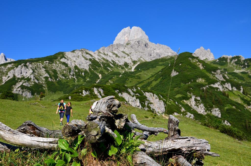 Apartments Alpenfrieden Sankt Martin am Tennengebirge Kültér fotó