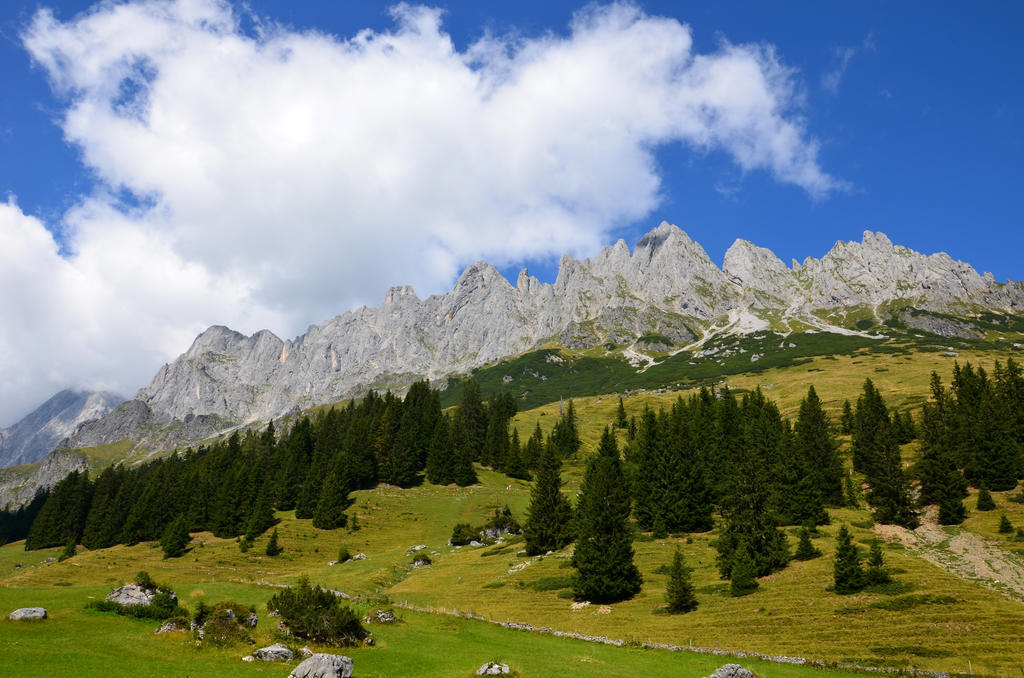 Apartments Alpenfrieden Sankt Martin am Tennengebirge Kültér fotó