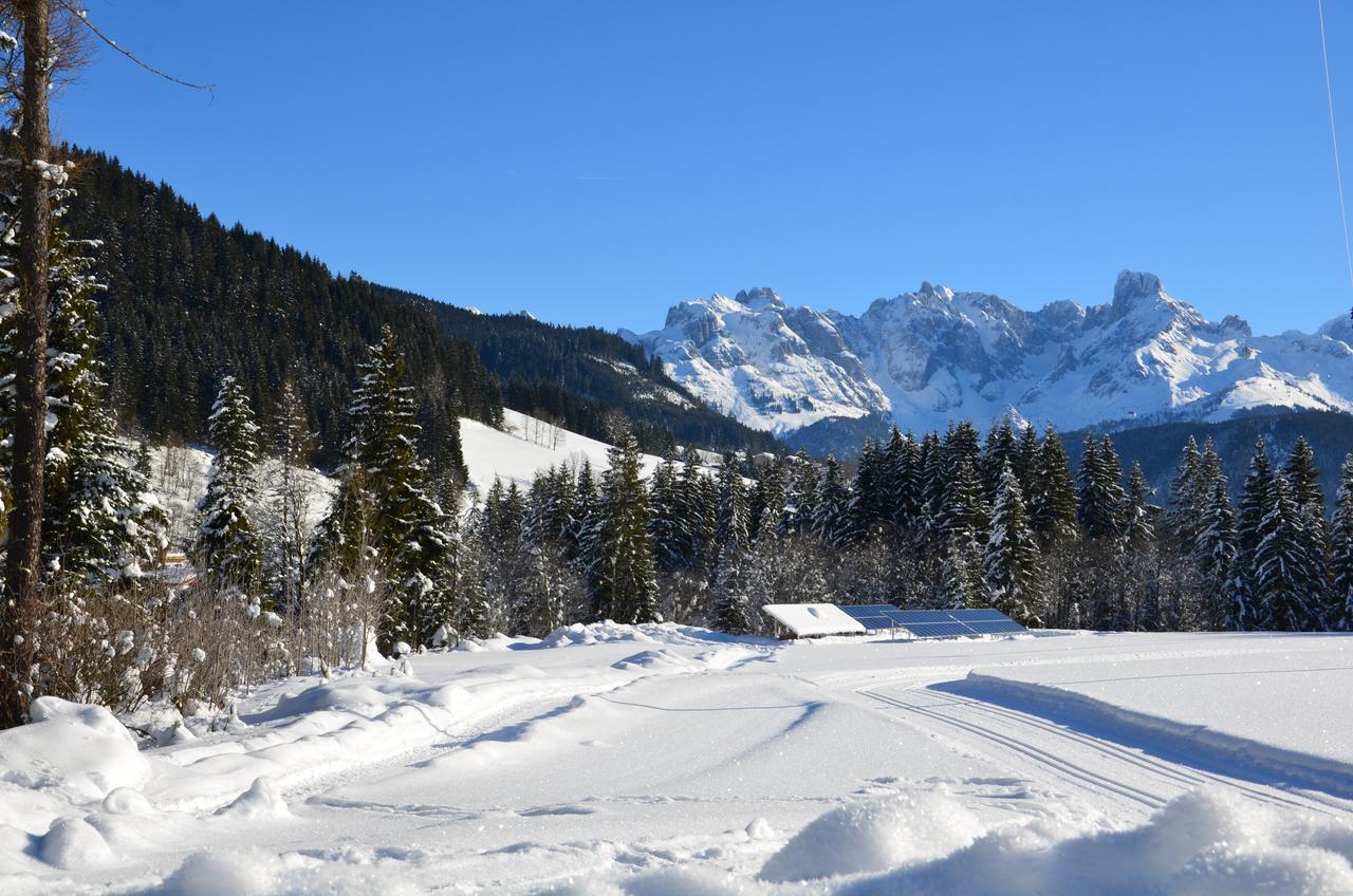 Apartments Alpenfrieden Sankt Martin am Tennengebirge Kültér fotó